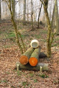 SummTonHöhle auf dem NaturKraftWeg / Mörlenbach