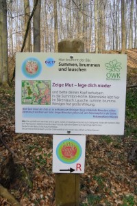 Beschreibung zu Ort 17 des NaturKraftWeges / Mörlenbach